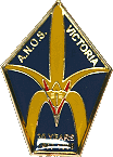 ANOS 30 Years Badge