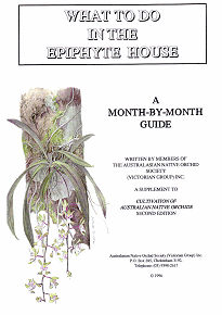 Epiphyte Month by Month Guide