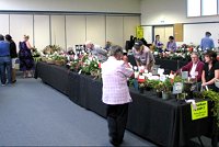 Geelong Show
