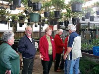 Epiphyte Study Group