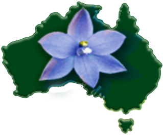AOF