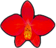 Western Orchid Laboratories