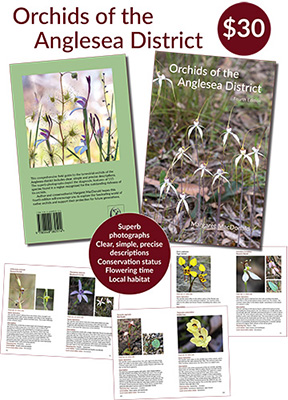 Orchids of the Anglesea District