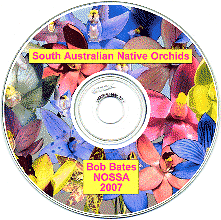 SA Orchid CD