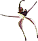Caladenia australis