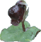 Corybas unguculatus
