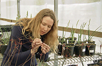 Conservation program at the Royal Botanic Gardens, Cranbourne