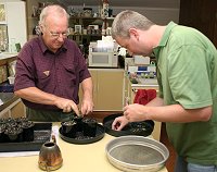 Deflasking seedlings